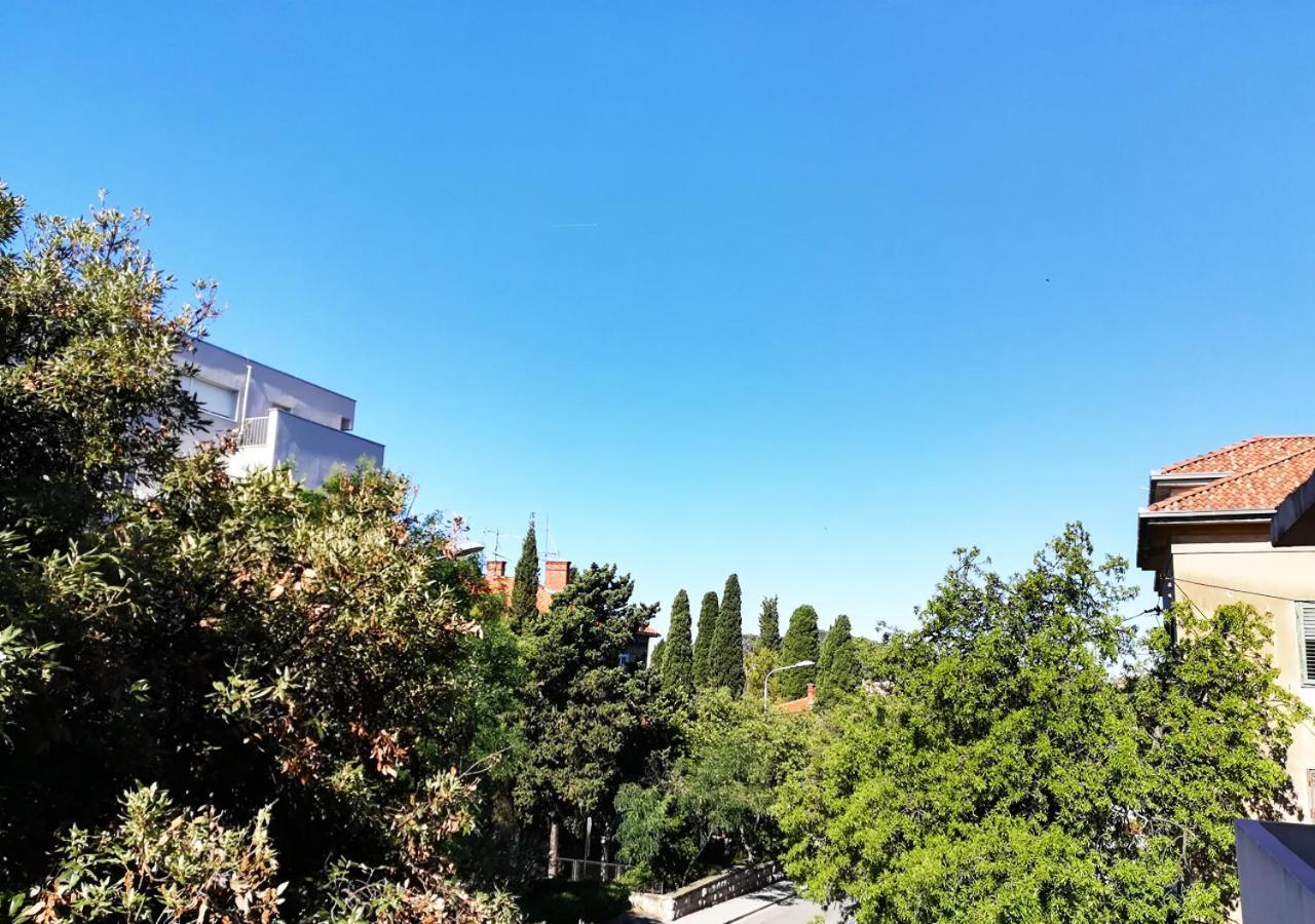 Appartement Mahonia